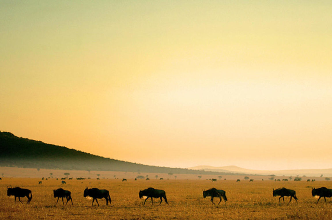 Porini Mara Camp Ol Kinyei Conservancy