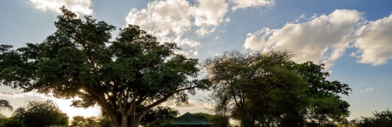 Tarangire View Camp Front View