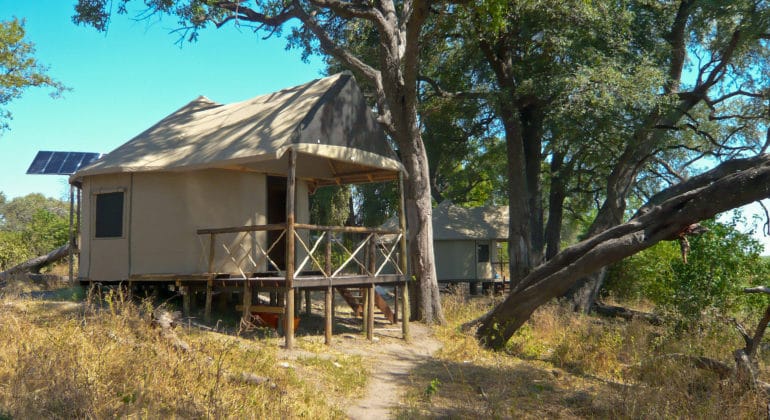 Camp Linyanti Tent