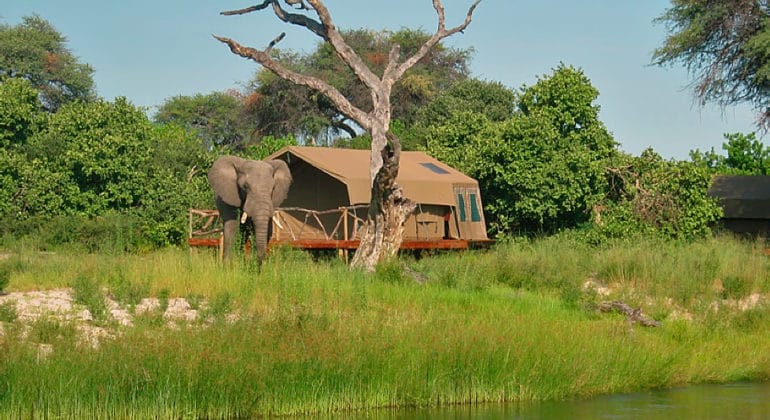 Camp Savuti Tent
