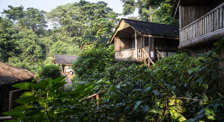 Gorilla Express Buhoma Lodge