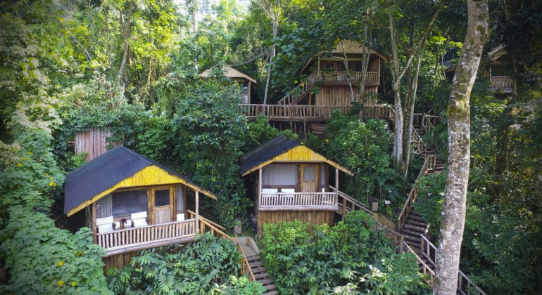 Gorilla Express Buhoma Lodge View