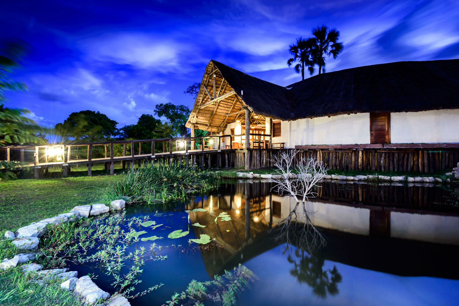 Ila Safari Lodge View