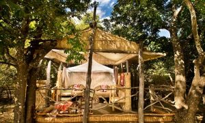 Island Bush Camp Tent