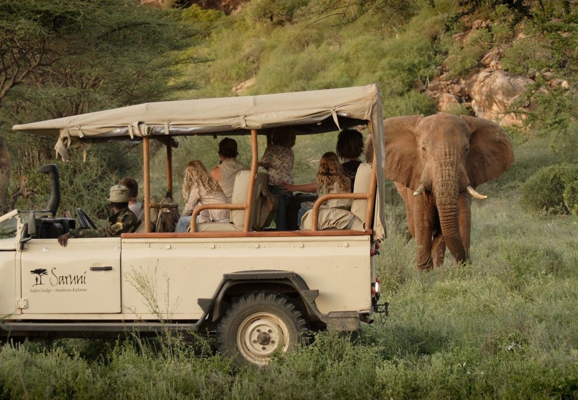 Kenyas Iconic Game Drive