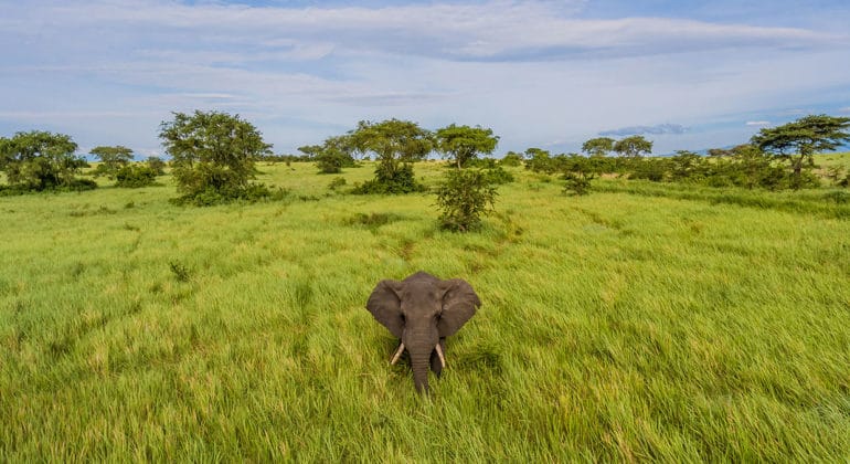 Mweya Safari Lodge 2