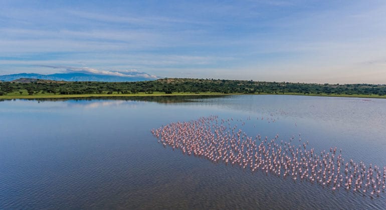 Mweya Safari Lodge 3