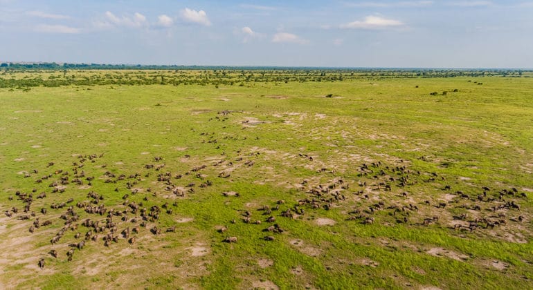 Mweya Safari Lodge 5