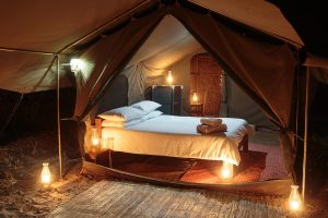 Nkonzi Camp Tent