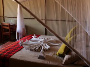 Ntemwa Busanga Camp Tent Interior