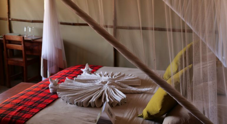 Ntemwa Busanga Camp Tent Interior