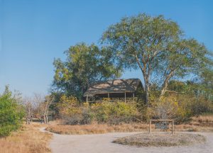 Ntemwa Busanga Camp View