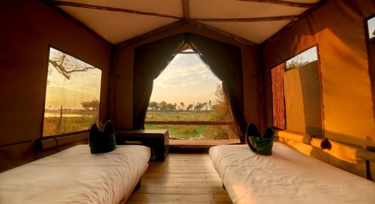 Oddballs' Camp Tent 1