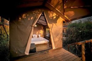 Oddballs' Camp Tent