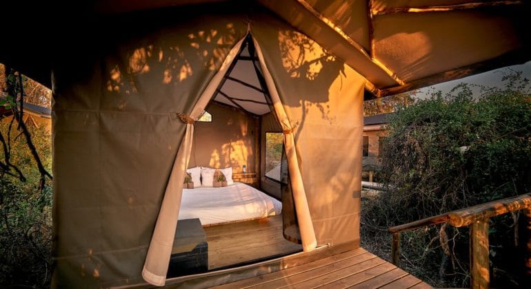Oddballs' Camp Tent