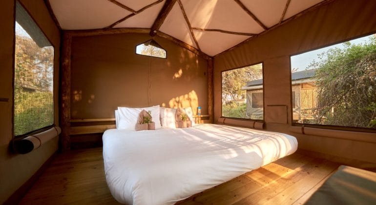 Oddballs' Camp Tent Interior