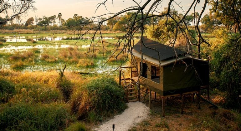 Oddballs' Camp Tents View