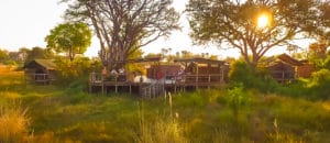Oddballs' Enclave View