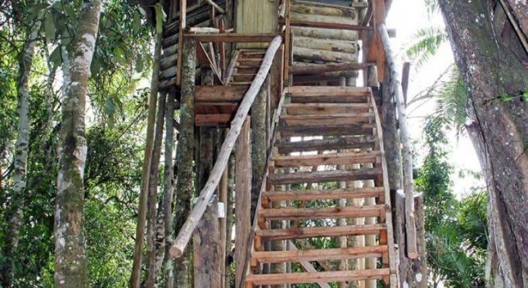 Primate Lodge Treehouse