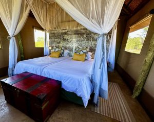 Daka Plains Camp Suites
