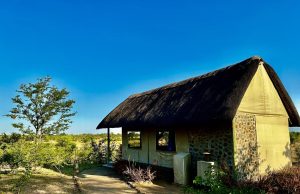 Daka Plains Camp Suites Outdoors