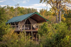 Deteema Springs Camp Tent View
