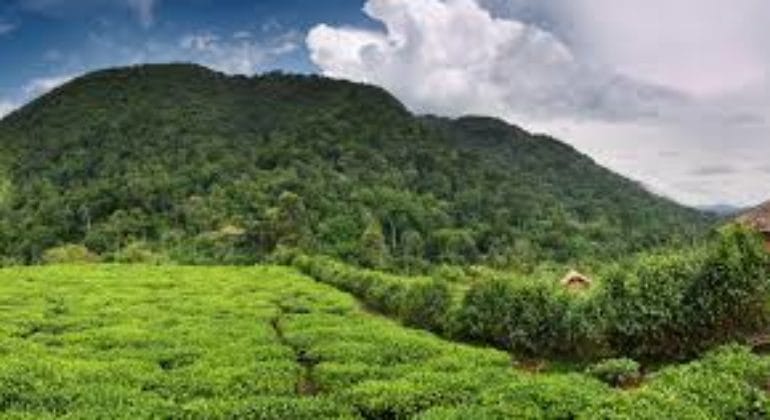 Jenman Uganda 2