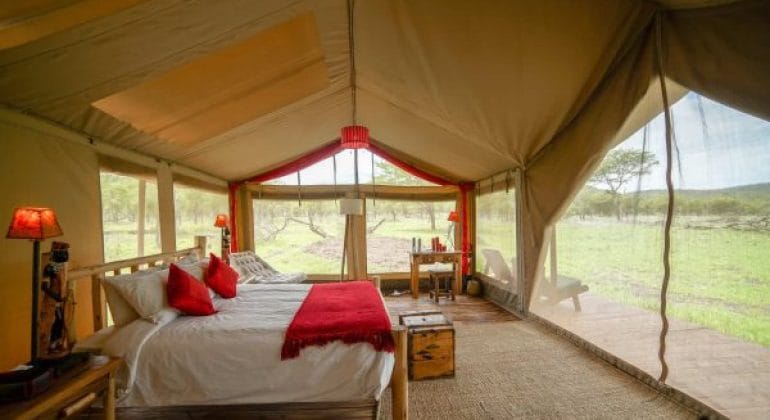 Asanja Moru Tent Interior