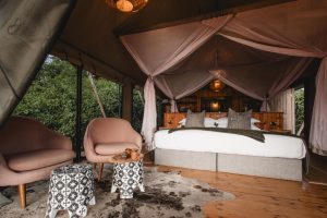 Magashi Tent