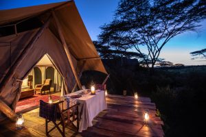 Mara Nyika Suite