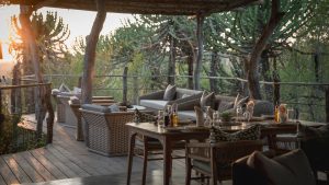 Mashatu Euphorbia Lounge
