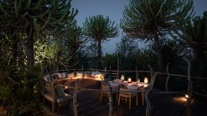 Mashatu Euphorbia Outdoor Seating
