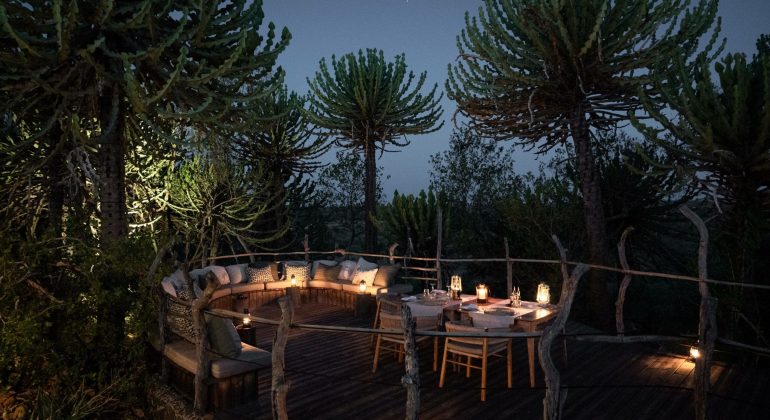 Mashatu Euphorbia Outdoor Seating