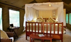 Elephant Valley Lodge Rooms
