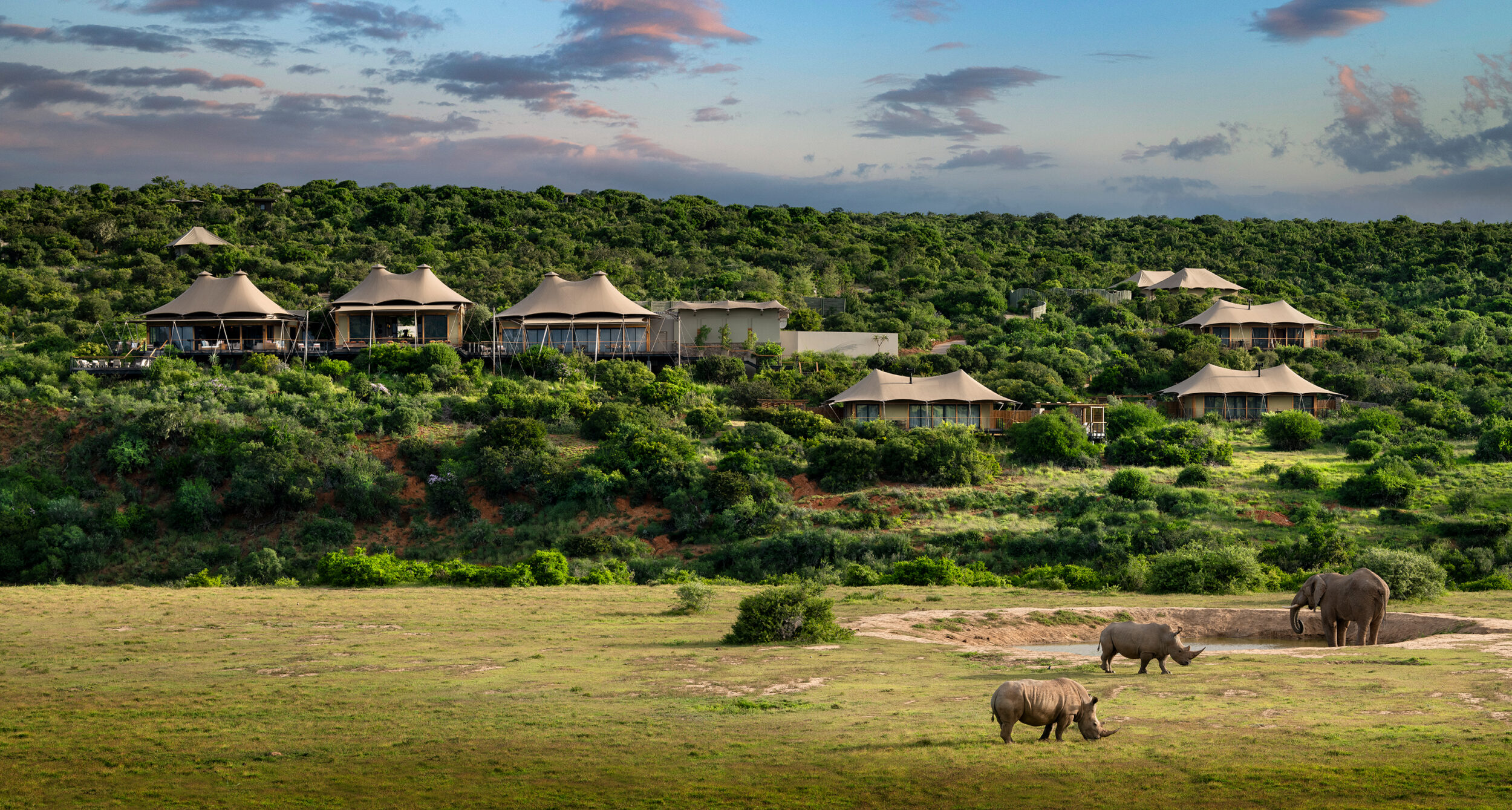 Shamwari Game Reserve