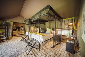 Forest Chem Chem Bed