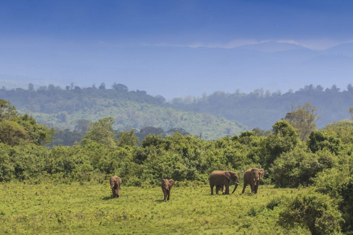 Laikipia