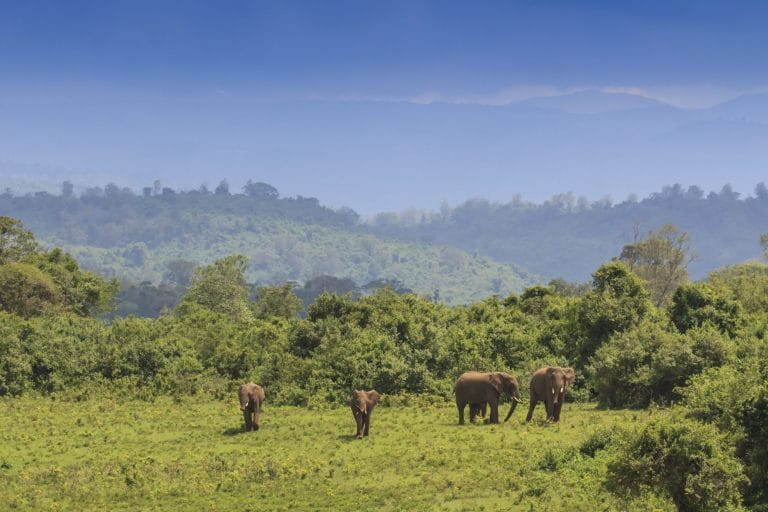 Laikipia