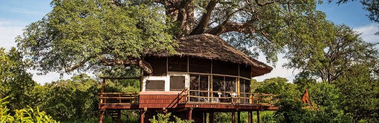 Tarangire Treetops