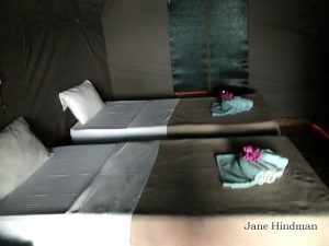 Akaka Camp Tent Rooms