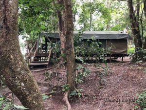 Akaka Camp Tent View