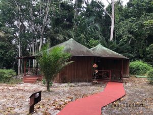 Loango Lodge Outdoor
