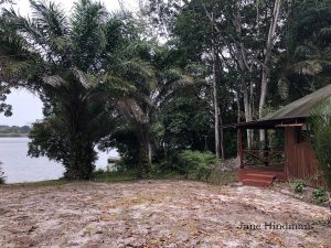Loango Lodge Tent View