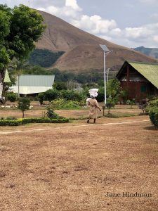 Lope Hotel Garden