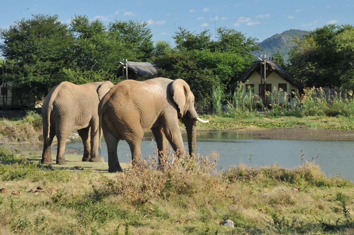 Tau Game Lodge