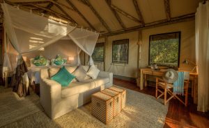 Setari Camp Tents
