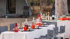 Beagle Expedition Dining