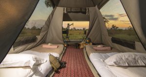 Beagle Expedition Tent