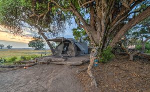 Beagle Expedition Tent Exterior