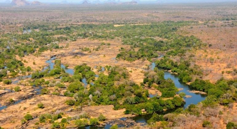 Niassa National Reserve